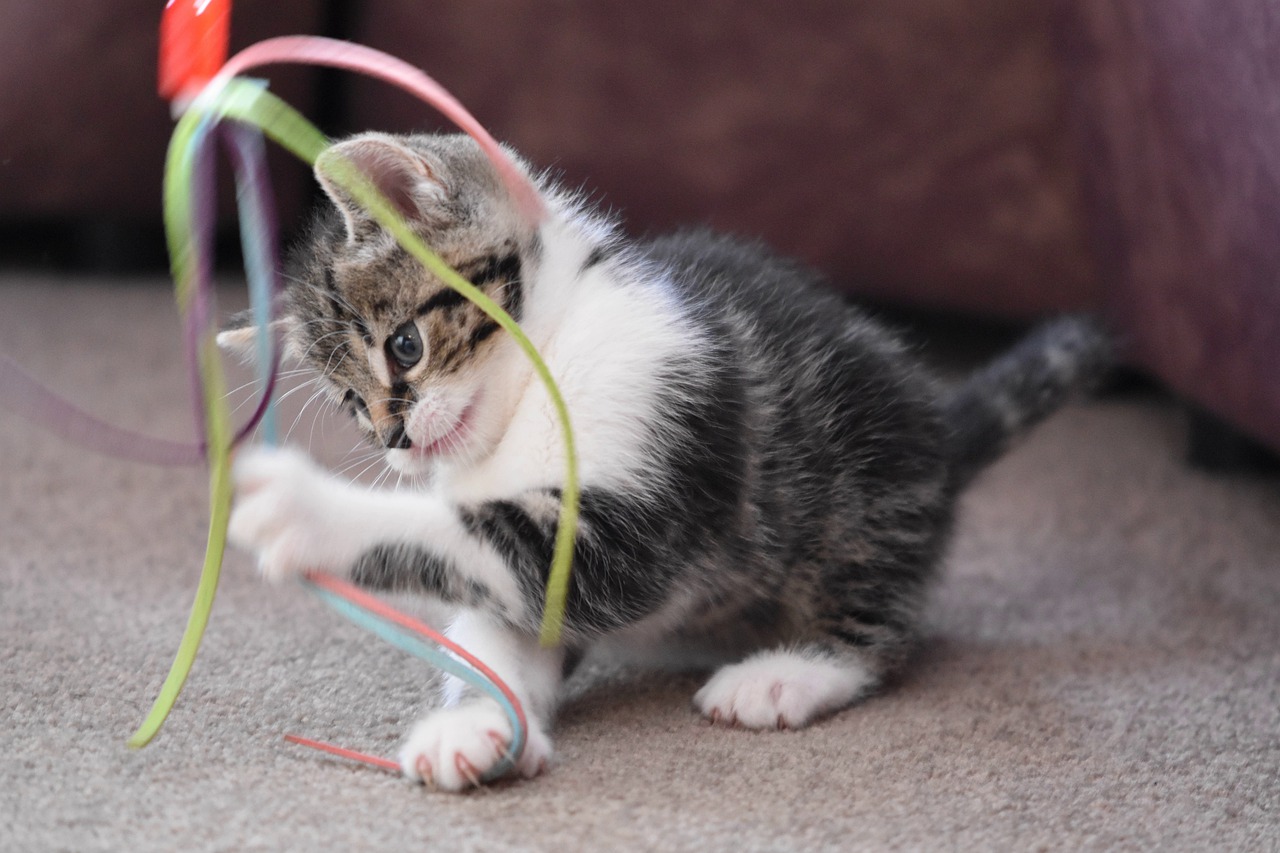 playing